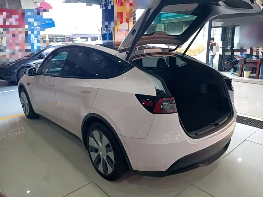 Tesla Model Y — миниатюра 5