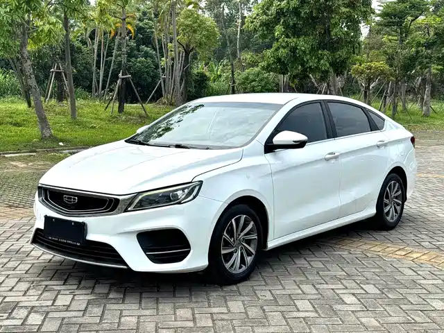 2020 Geely Binrui