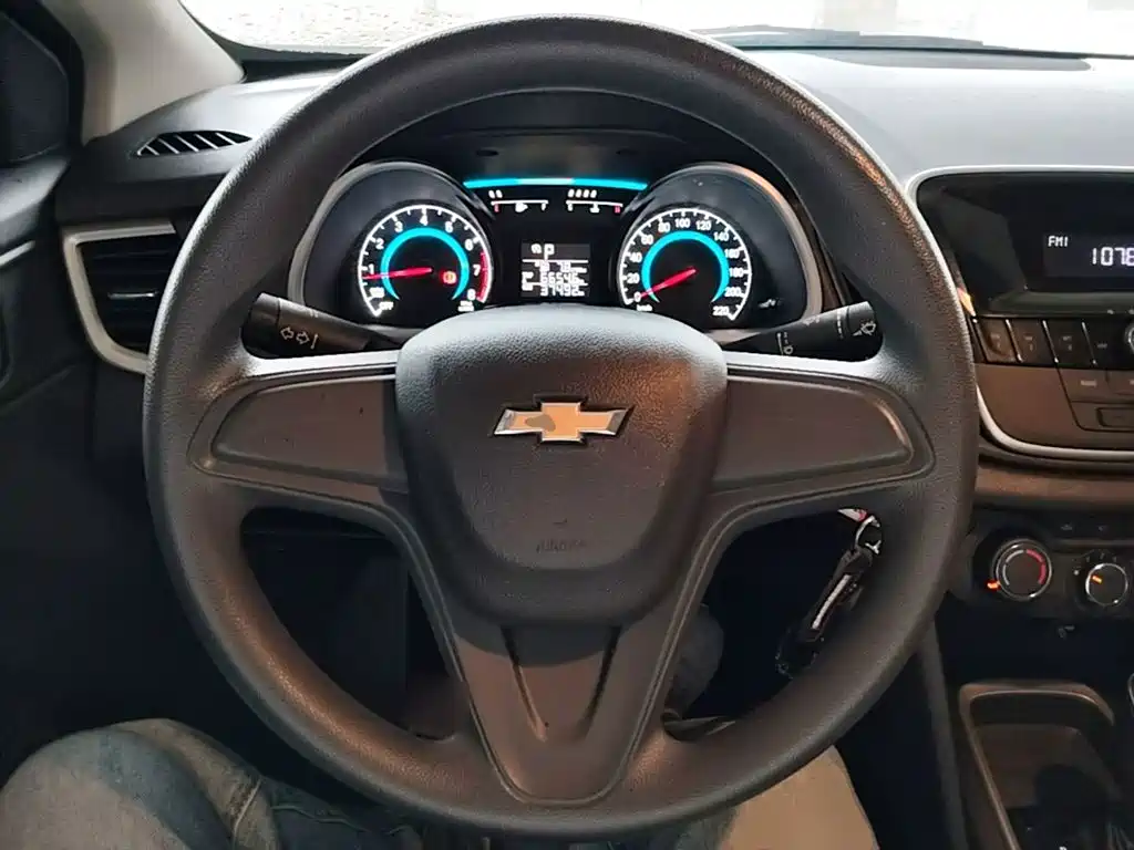 Chevrolet Cavalier — миниатюра 11