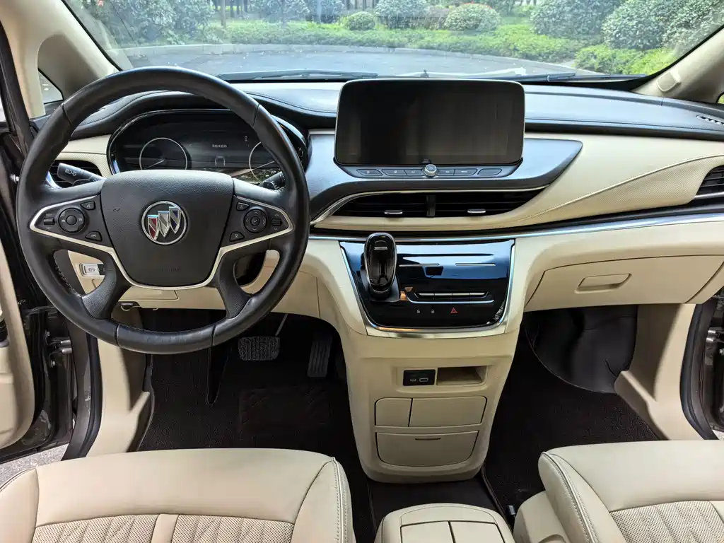 Buick GL8 — миниатюра 9