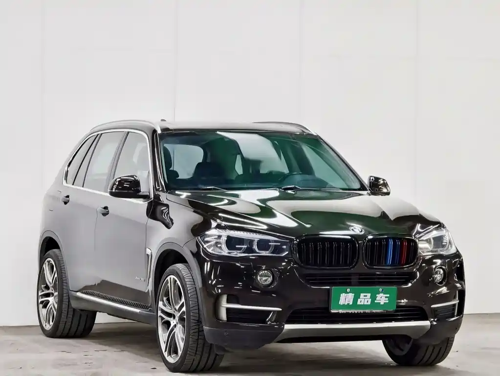 BMW X5 2014 xDrive35i Lead
