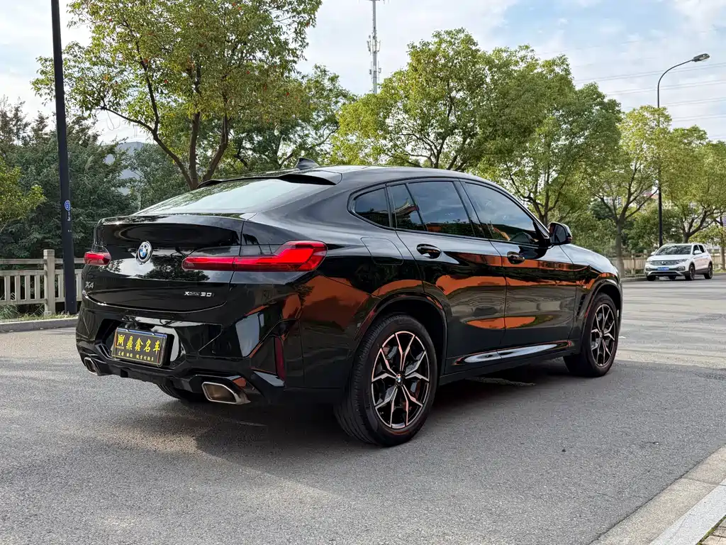 BMW X4 — миниатюра 4