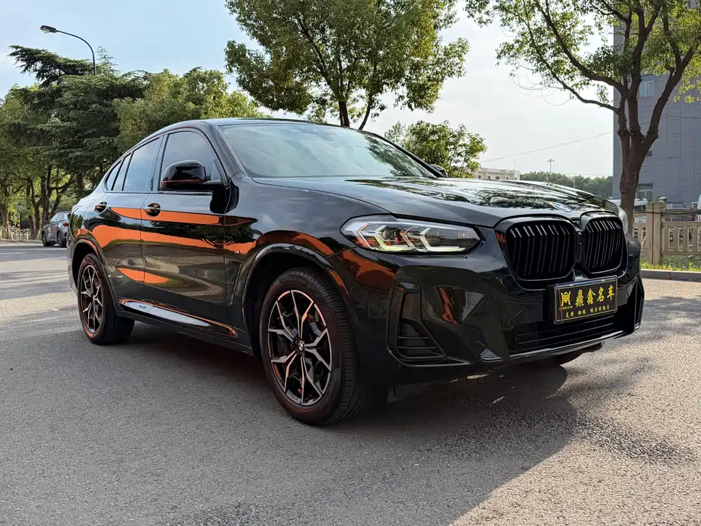 BMW X4 — миниатюра 3