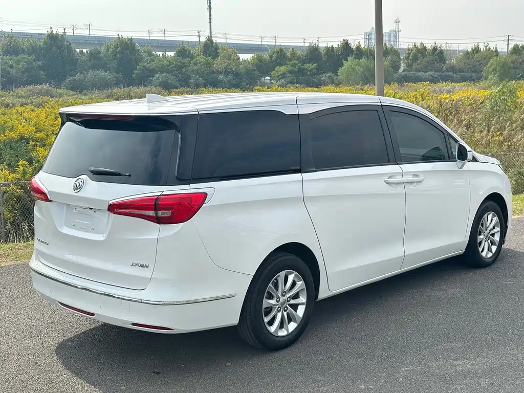 Buick GL8 — миниатюра 13