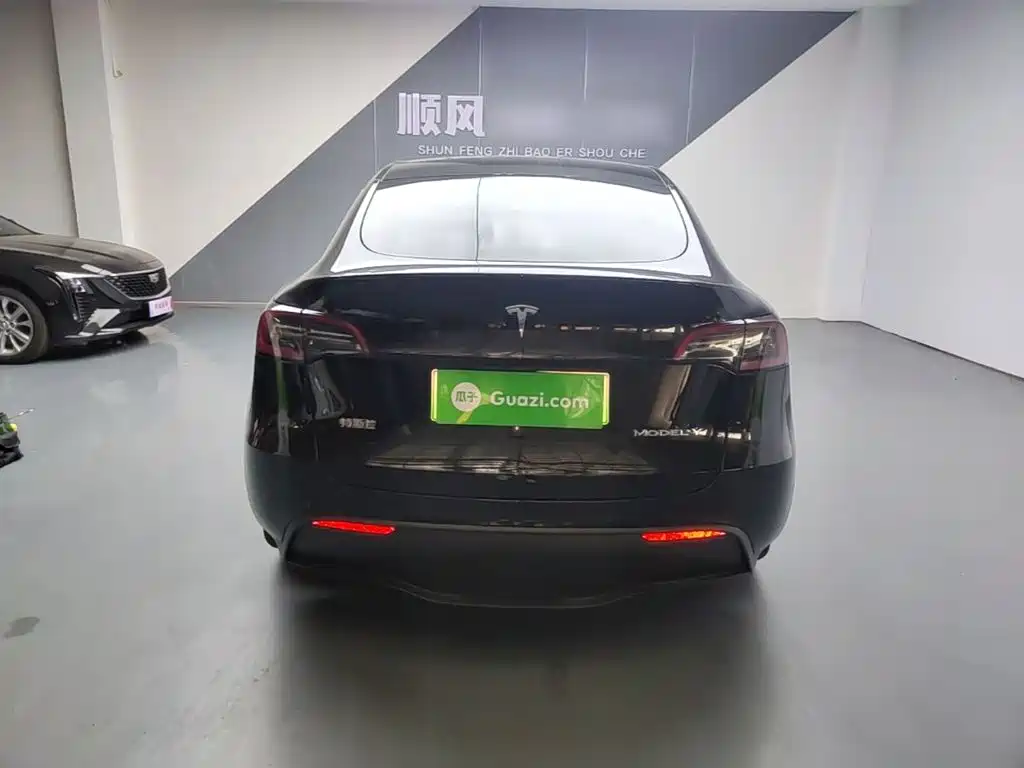 Tesla Model Y — миниатюра 6