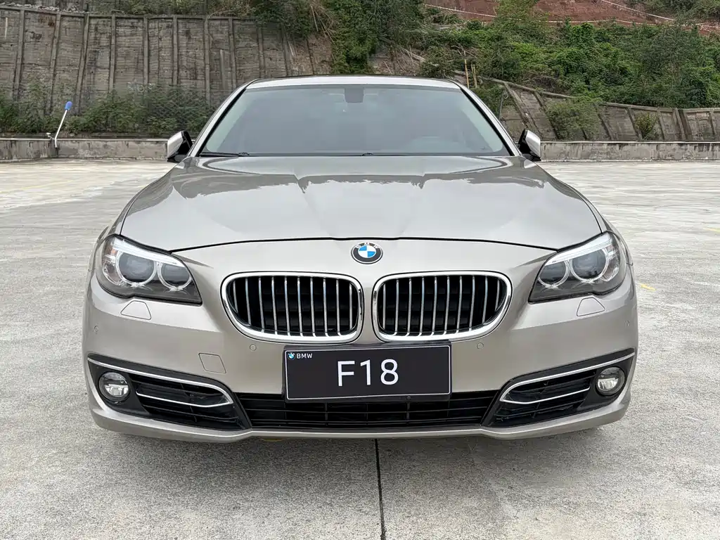BMW 5 Series — миниатюра 2