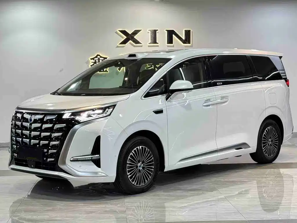 Denza Denza D9