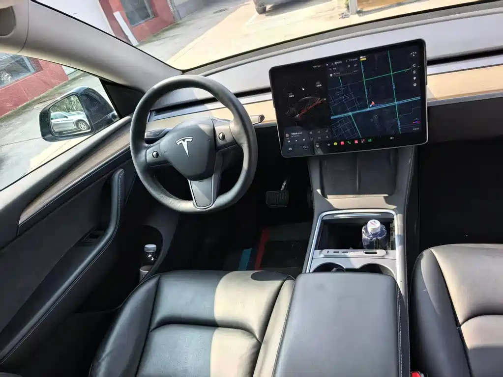 Tesla Model Y — миниатюра 5