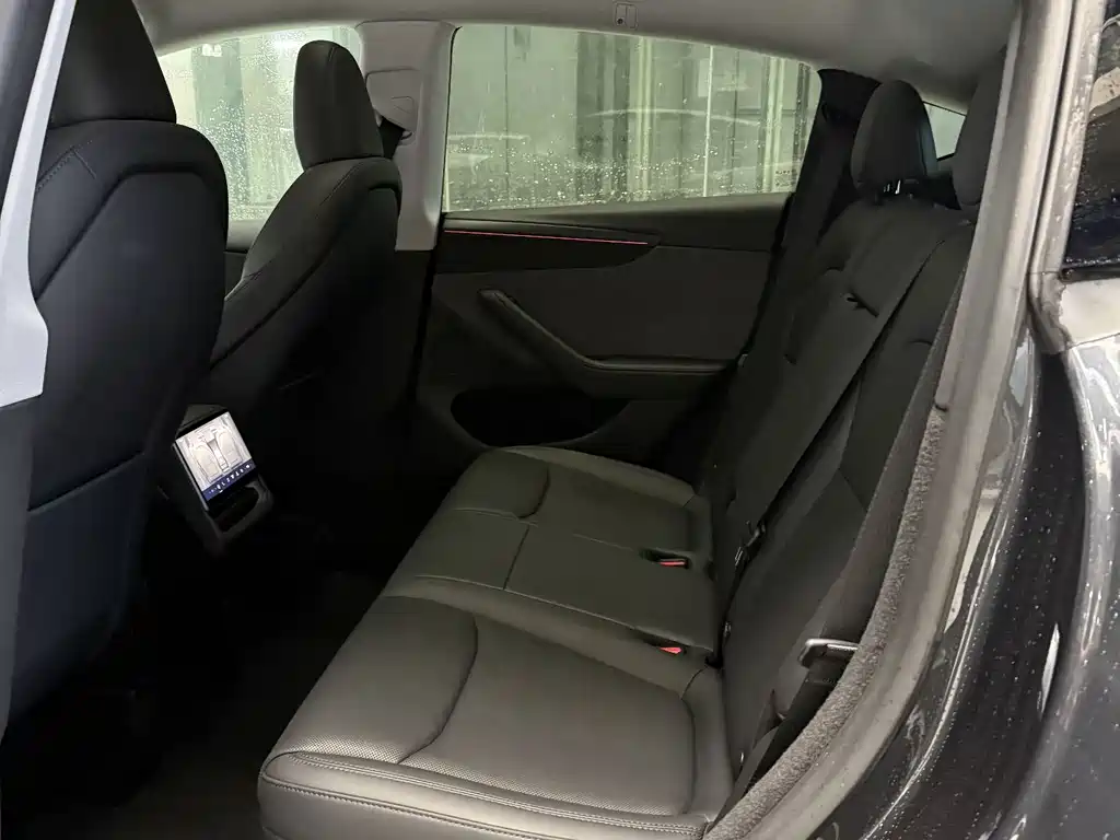 Tesla Model Y — миниатюра 10