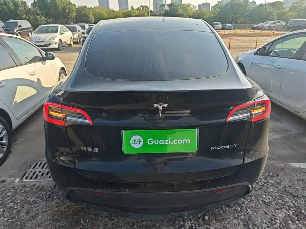 Tesla Model Y — миниатюра 6