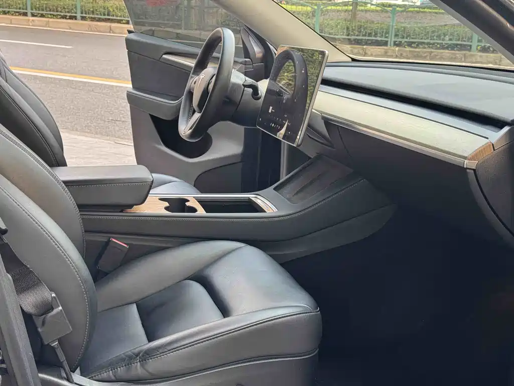 Tesla Model Y — миниатюра 5