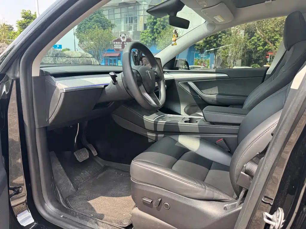 Tesla Model Y — миниатюра 8
