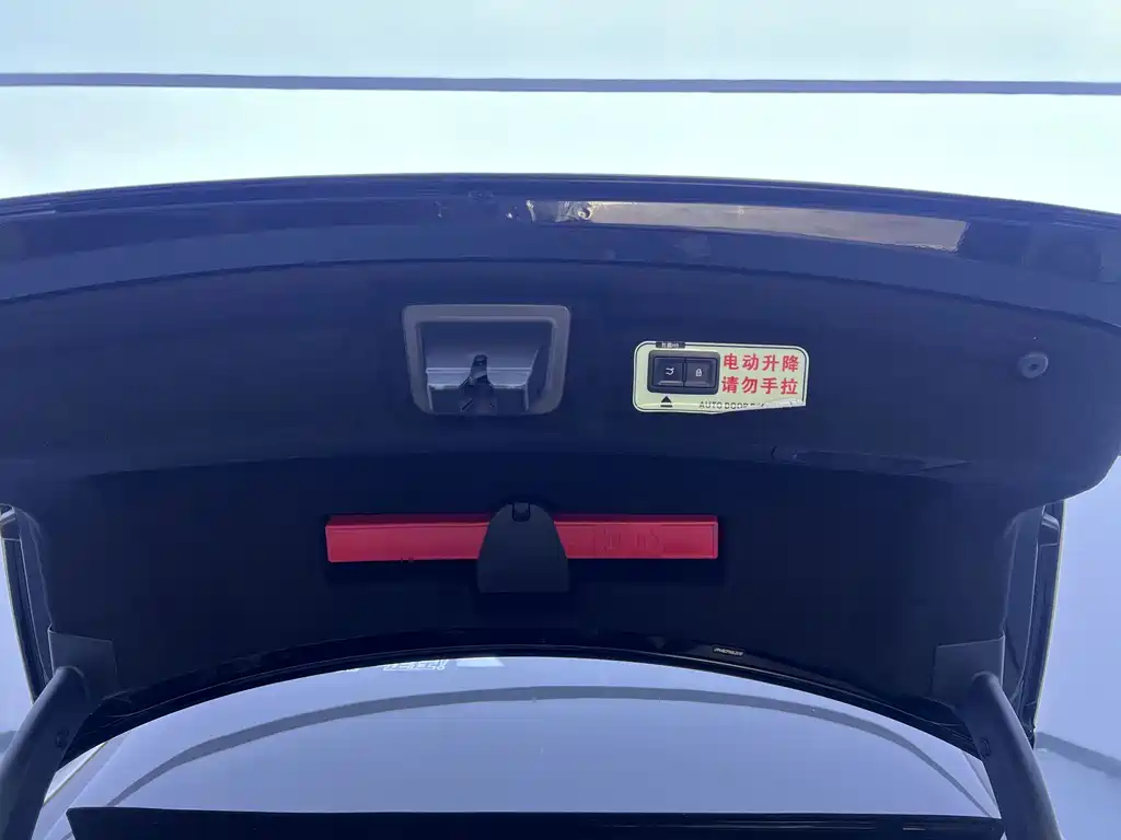 Hongqi Hongqi H9 — миниатюра 12