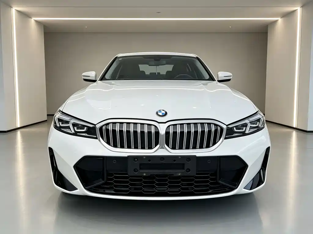 BMW 3 Series — миниатюра 2