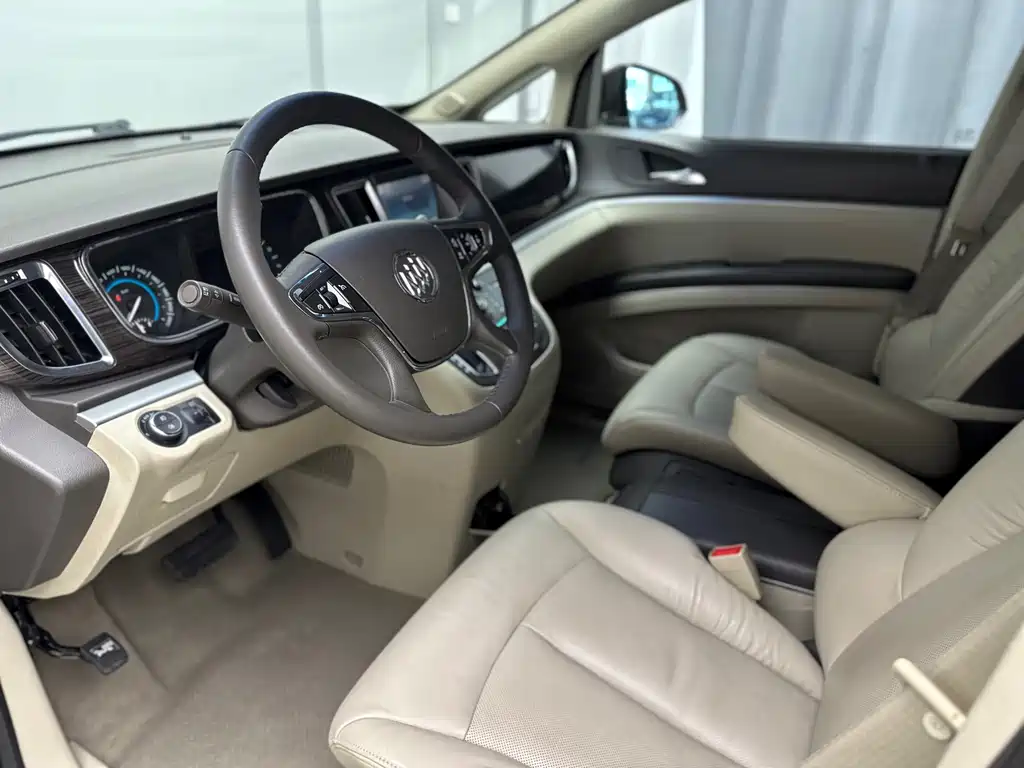 Buick GL8 — миниатюра 16