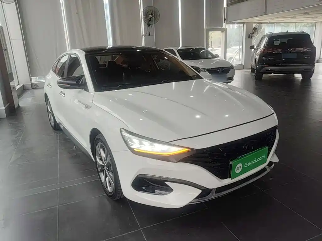 Hyundai Fista — миниатюра 4
