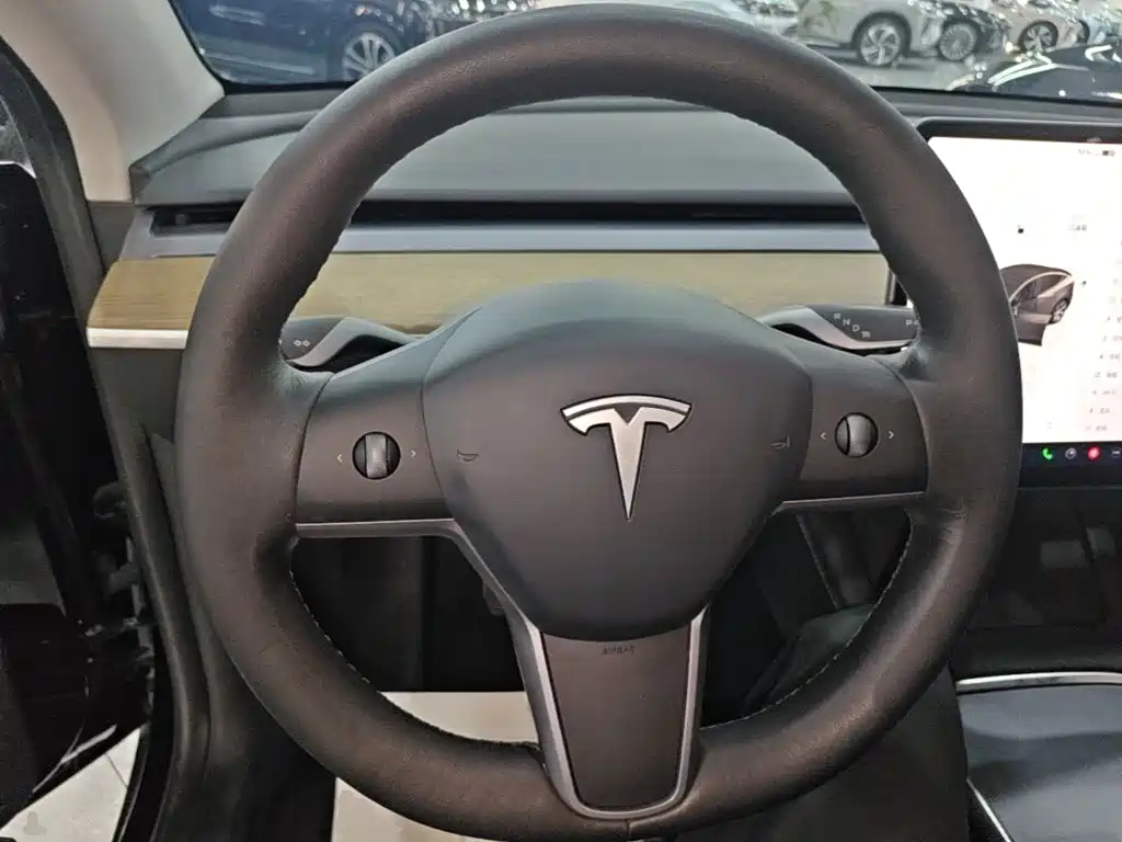 Tesla Model Y — миниатюра 11