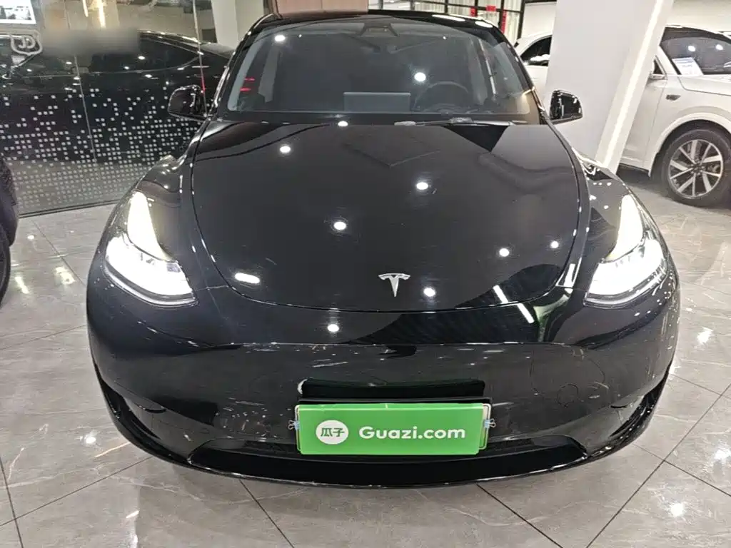 Tesla Model Y — миниатюра 3