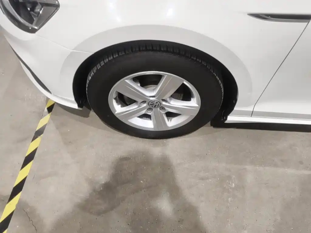 Volkswagen Lamando — миниатюра 23