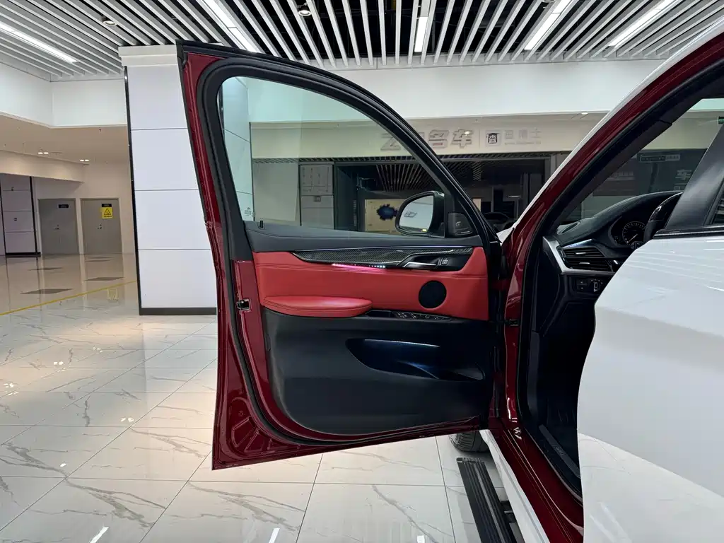 BMW X6 — миниатюра 9