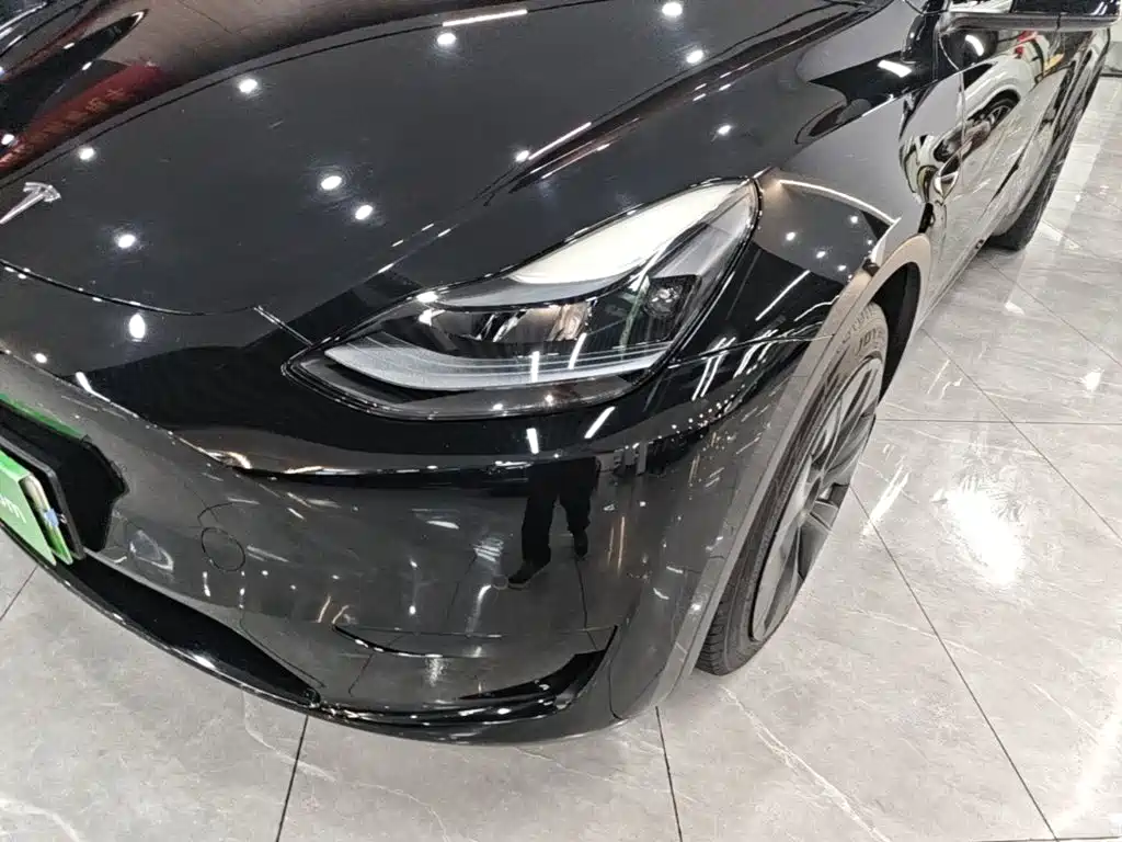 Tesla Model Y — миниатюра 24