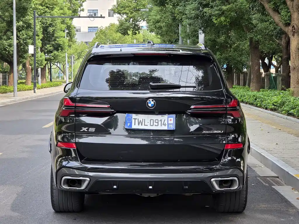BMW X5 — миниатюра 12