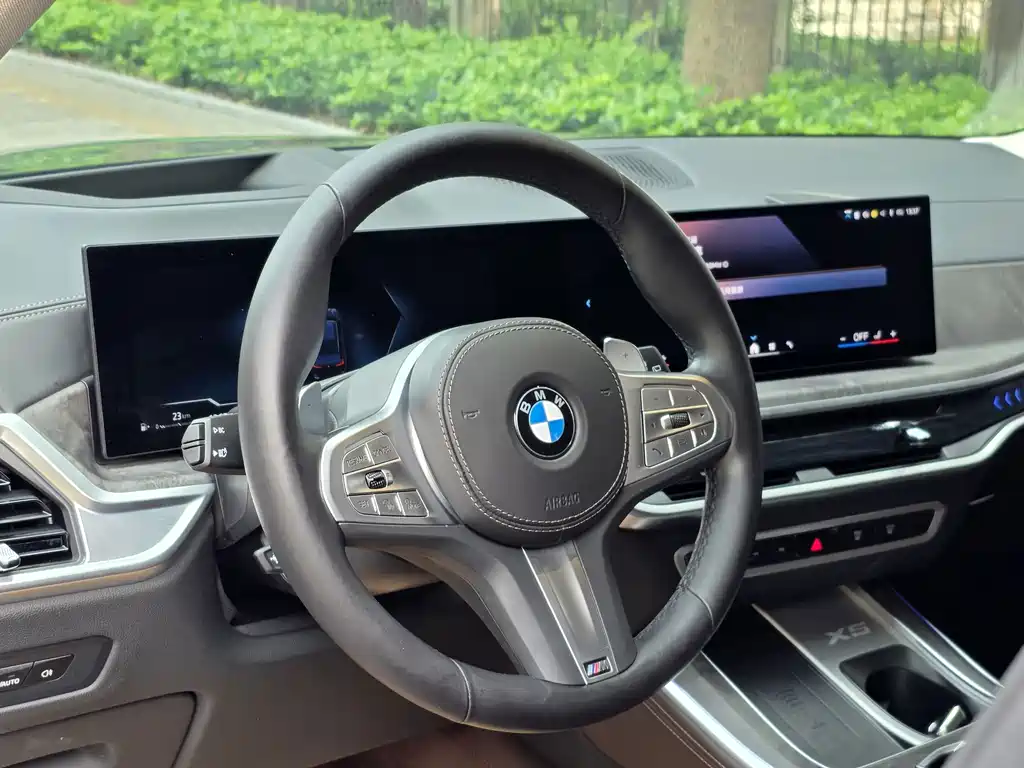 BMW X5 — миниатюра 9