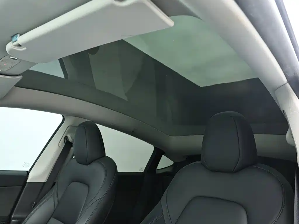 Tesla Model Y — миниатюра 13