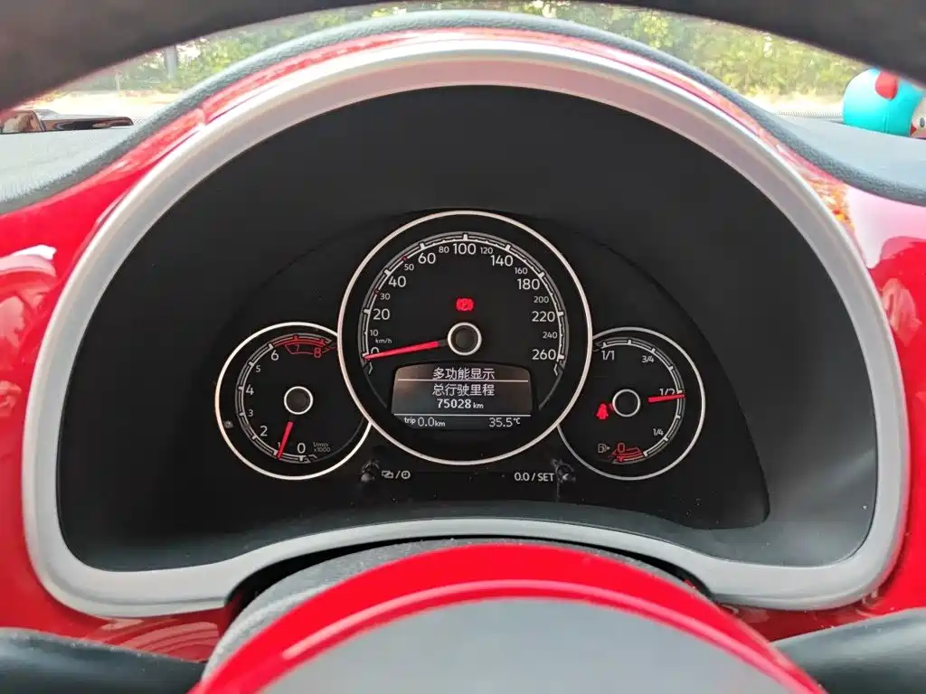 Volkswagen Beetle — миниатюра 12
