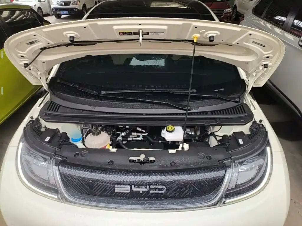 BYD Dolphin — миниатюра 20