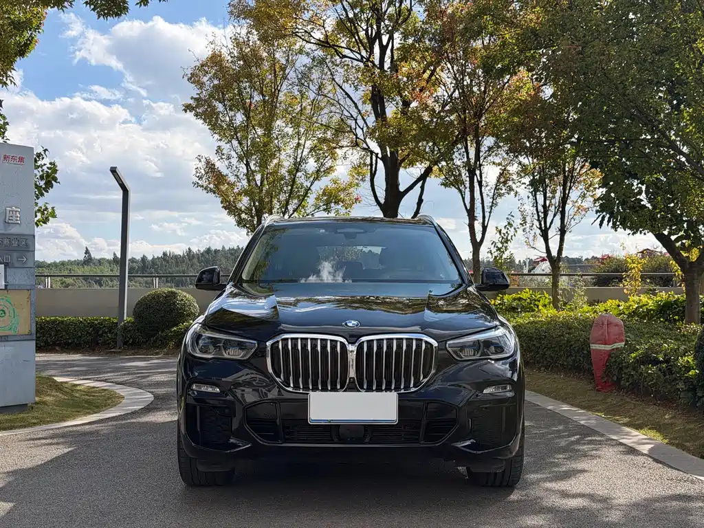 BMW X5 (Import) — миниатюра 2