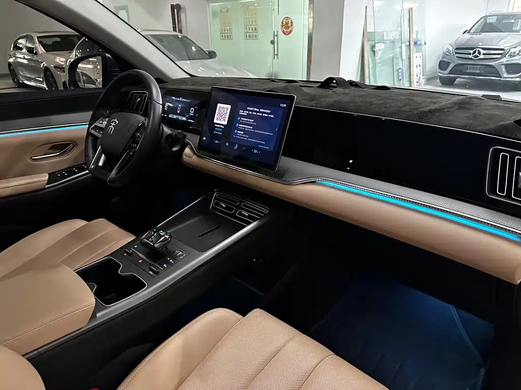 BYD Pro New Energy — миниатюра 10