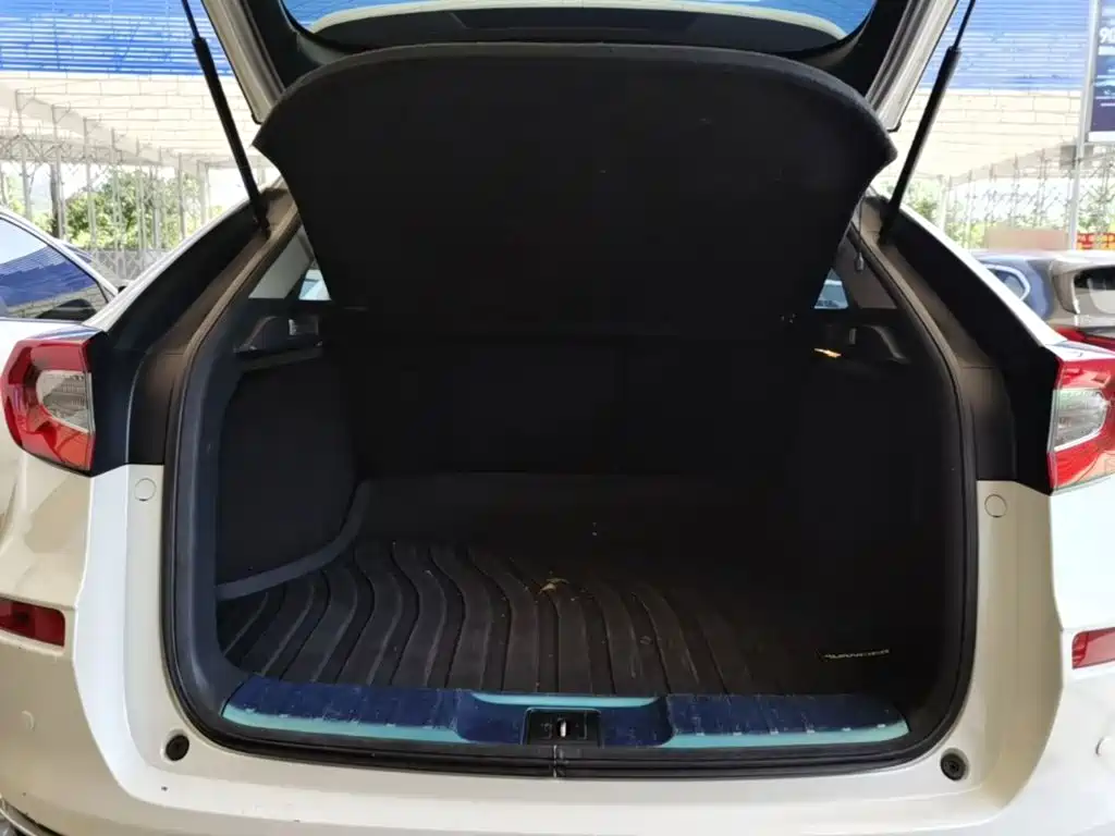 Honda Avancier — миниатюра 19