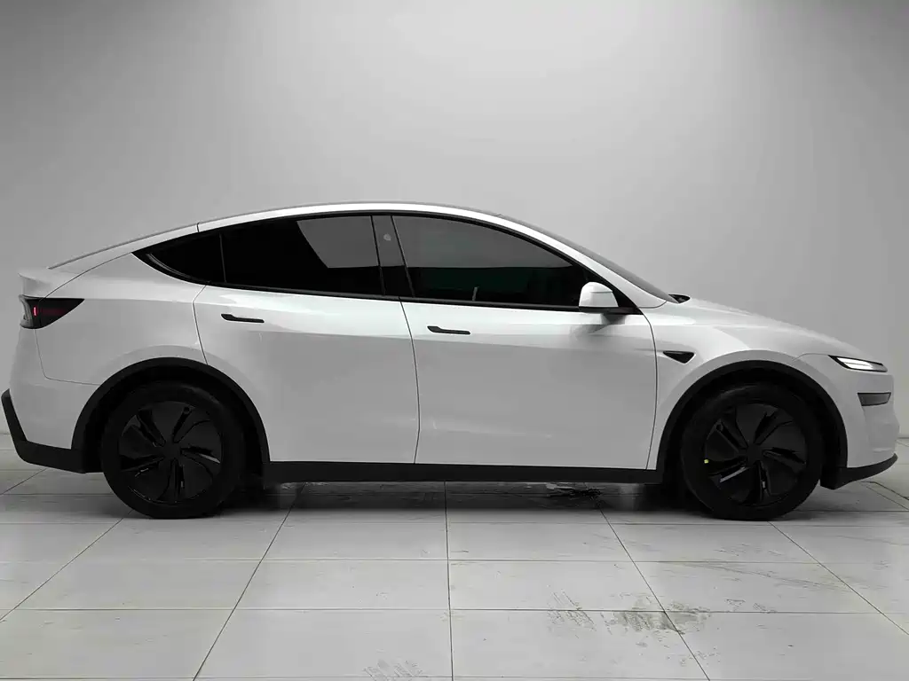 Tesla Model Y — миниатюра 20