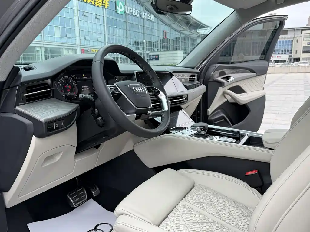 Audi Q6 2023 45 TFSI quattro Light