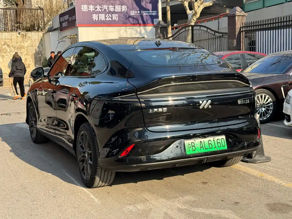 ZHIJI AUTOMOBILE ZHIJI LS6