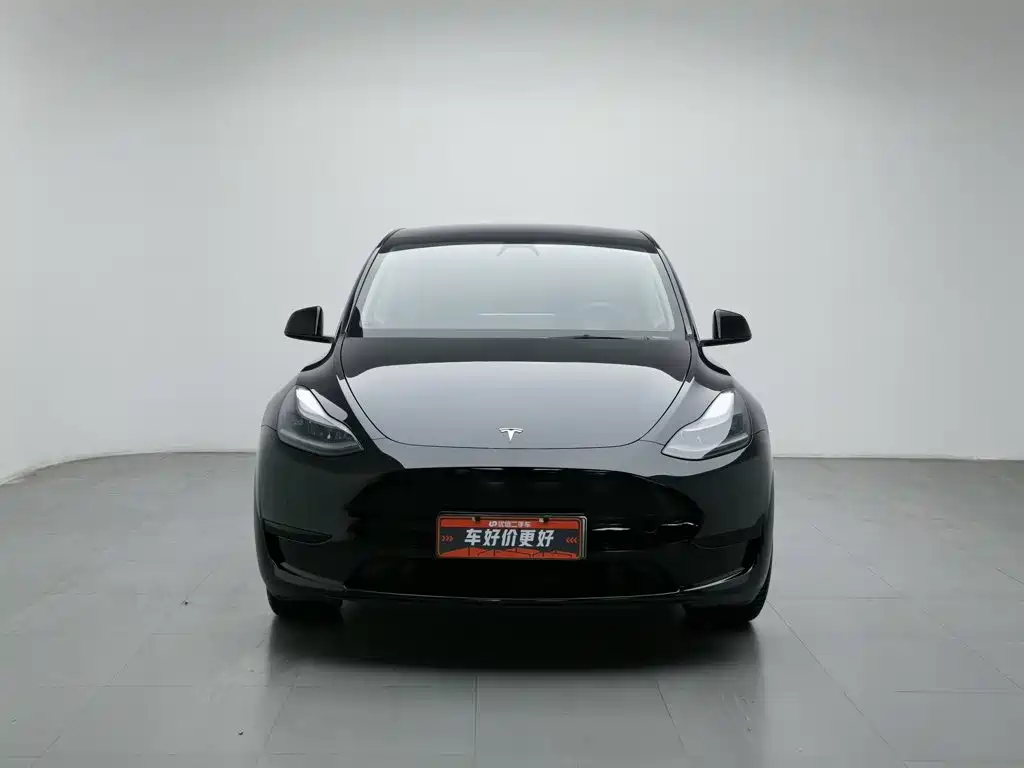 Tesla Model Y — миниатюра 3