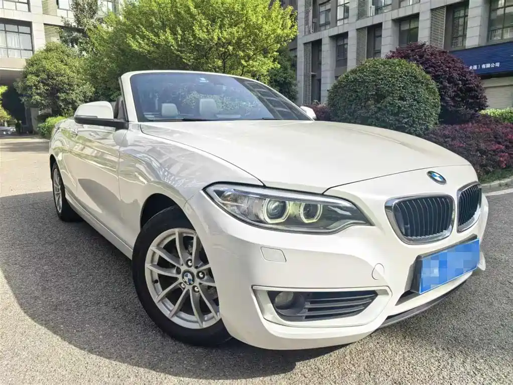 BMW 2 Series (Import) 2017