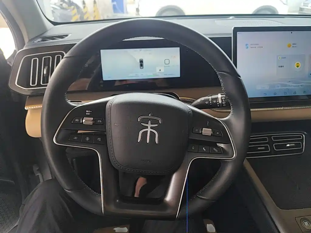 BYD Pro New Energy — миниатюра 11