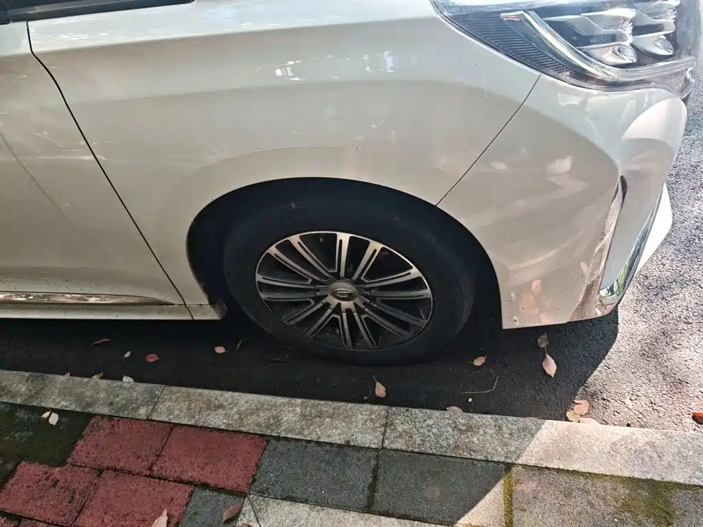 GAC Motor Trumpchi M8 — миниатюра 8