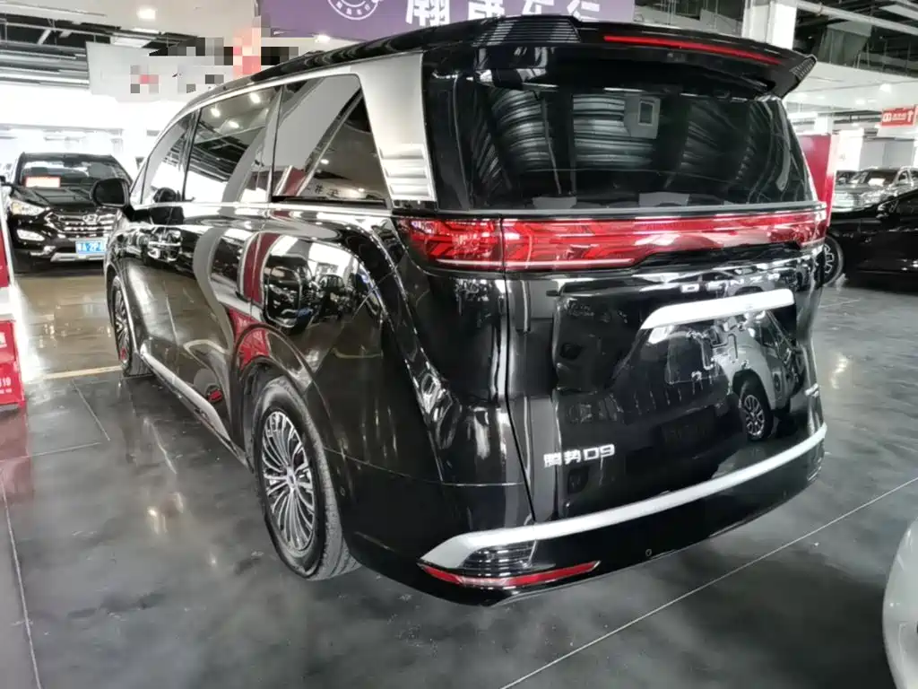 Denza Denza D9 — миниатюра 5