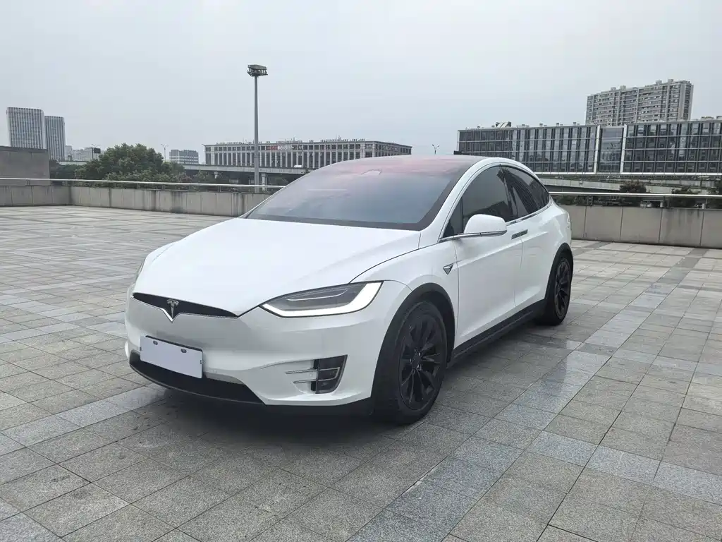 Tesla Model X — миниатюра 4