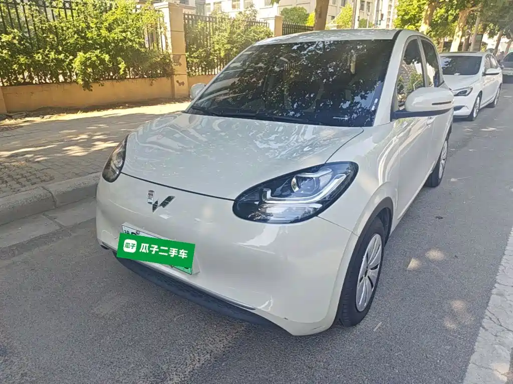 五菱缤果 2023款 203km 舒享款