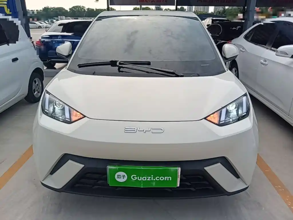 BYD Seagull