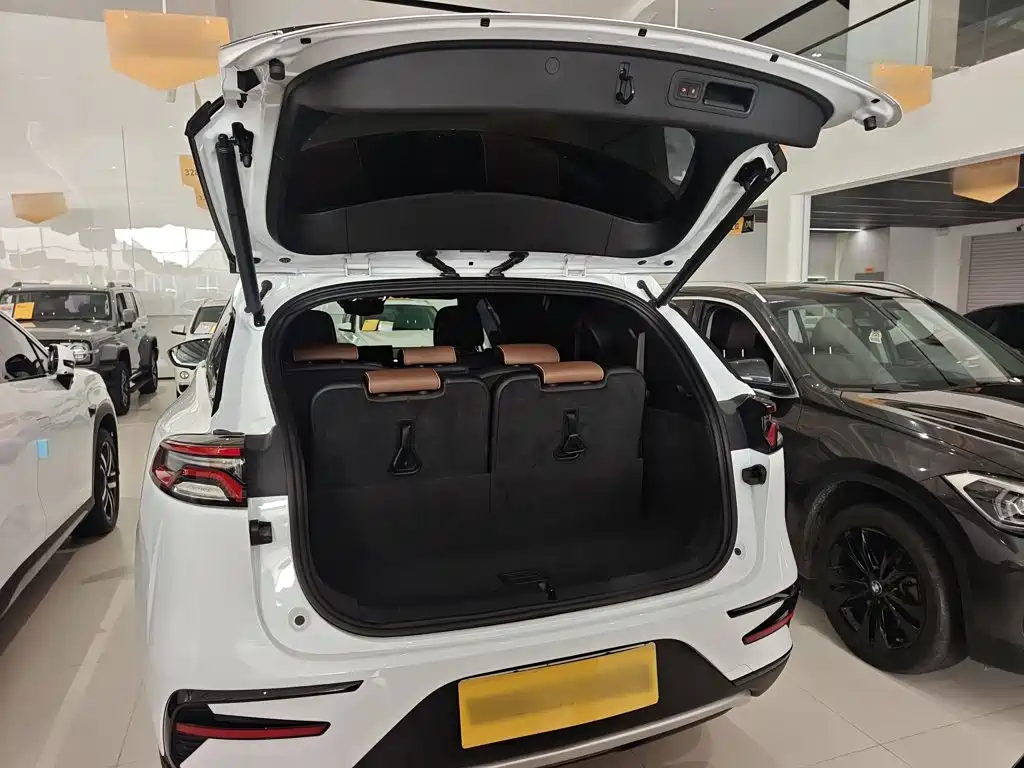 BYD Tang New Energy — миниатюра 12