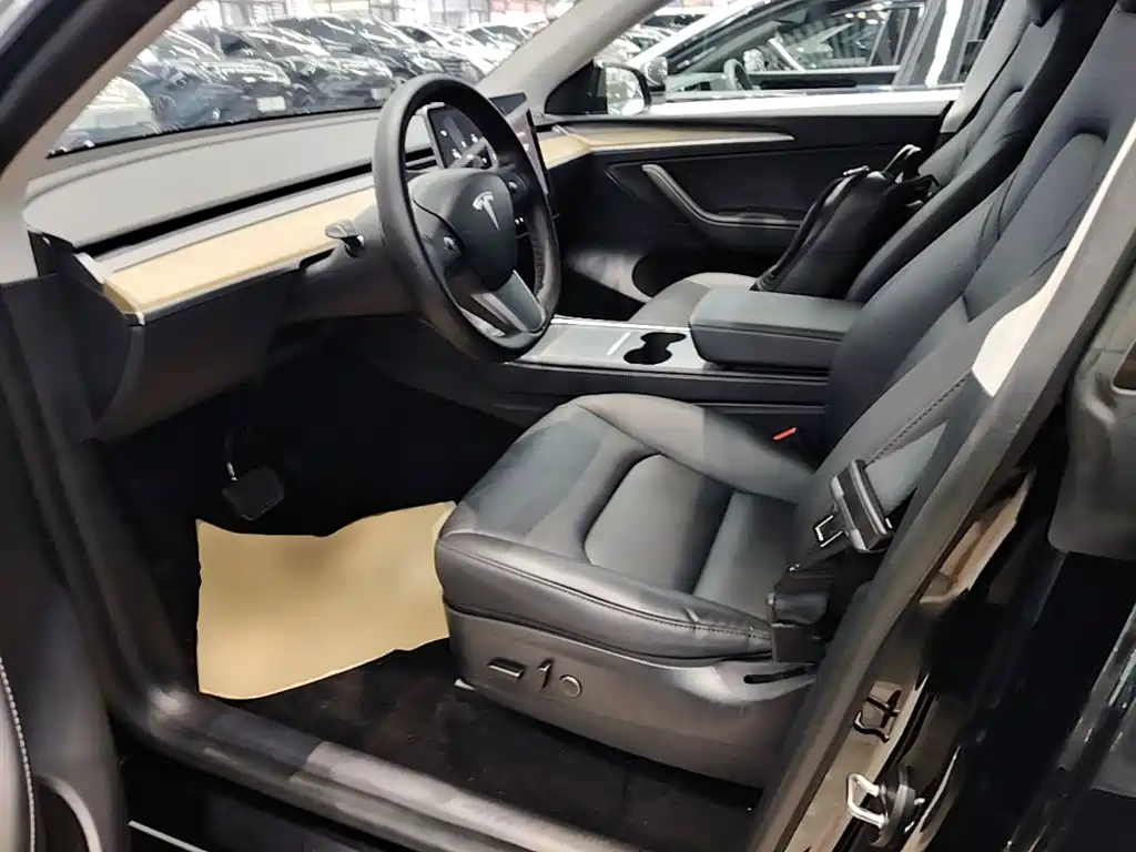 Tesla Model Y — миниатюра 15