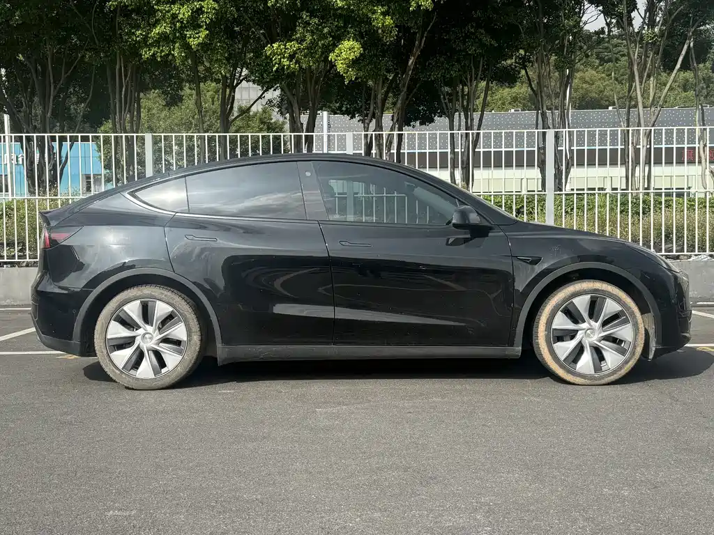 Tesla Model Y — миниатюра 4