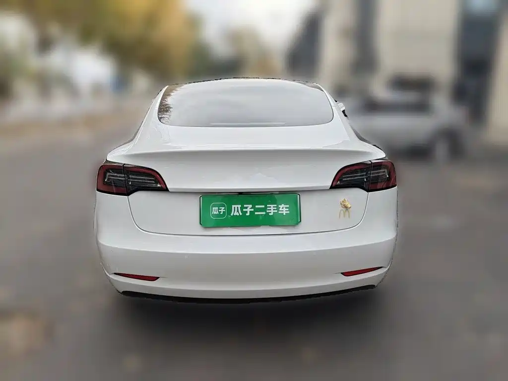 Tesla Model 3 — миниатюра 5