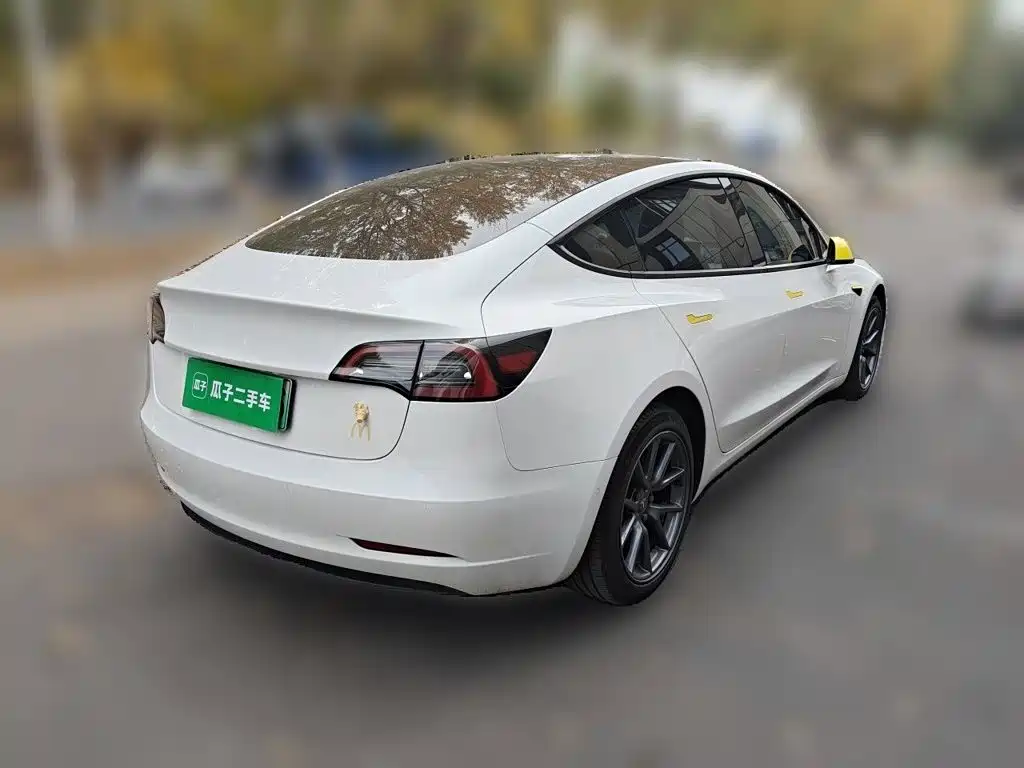 Tesla Model 3 — миниатюра 6