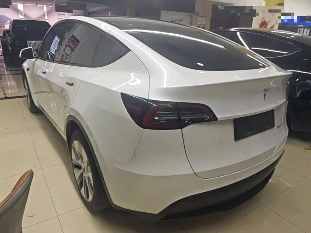Tesla Model Y — миниатюра 5